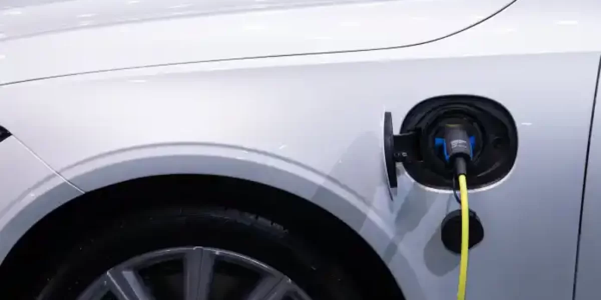 pexels-photo-3846205